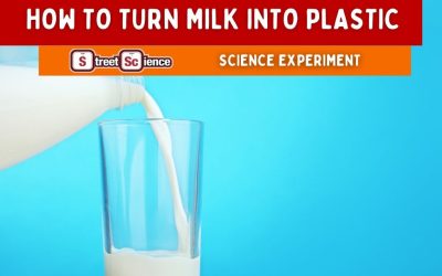 How to Turn Milk Into Plastic